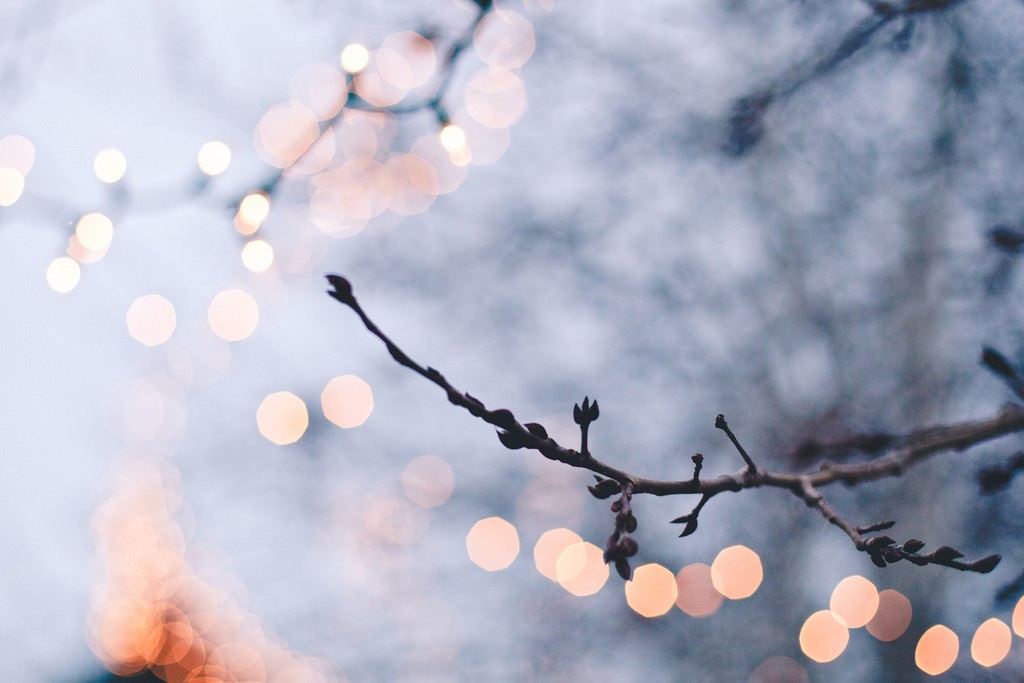sesshin_invierno_2016
