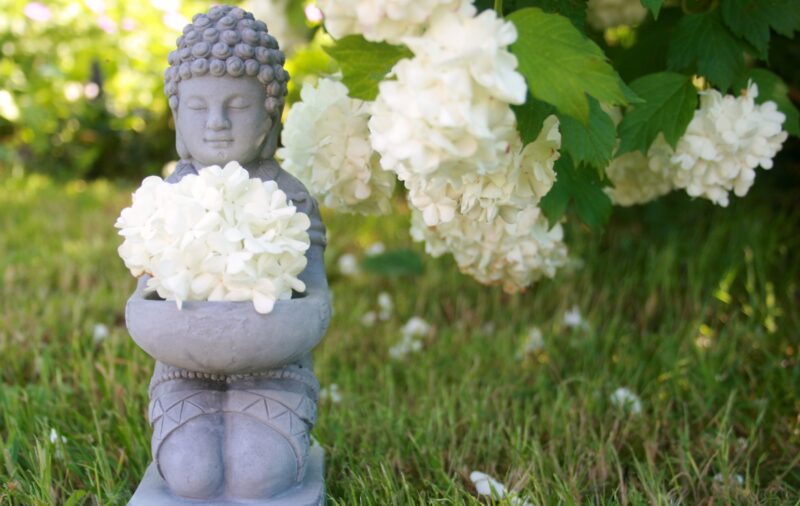 Estatua de Buda entre flores blancas